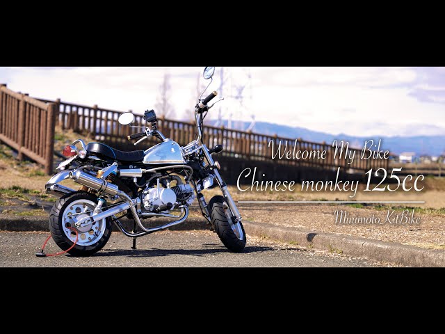 中華製KIDバイク125cc sddefault.jpg