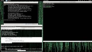 Famous Backdoor user creation and information collection with reverse session Profile