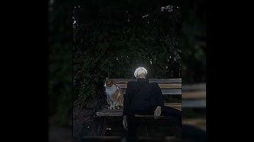 تلاوة عطرة من سورة النساء || القارئ عبدالرحمـٰن ماجد 🎧❤️#اكسبلور #دويتو #دعم #الرحمن