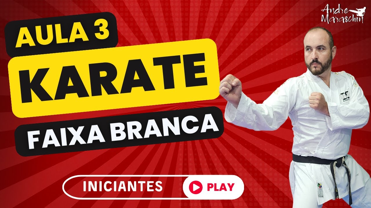 3 AULA DE KARATE | FAIXA BRANCA - A persistência é o caminho do êxito