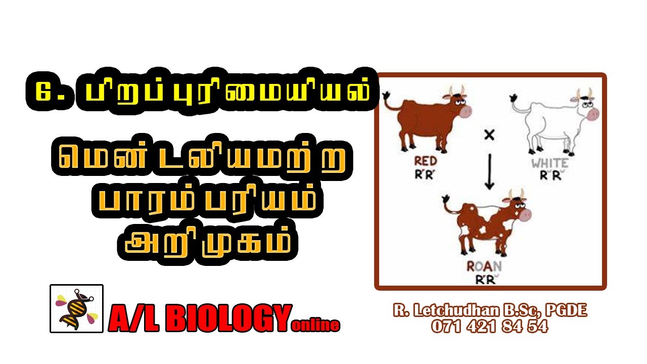 8.மெண்டலியமற்ற பாரம்பரியம் - அறிமுகம் #Genetics பிறப்புரிமையியல்