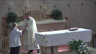Wednesday 8:30 am Mass - June 31st, 2026