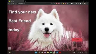 Dog App - PI Henry Bootcamp screenshot 5