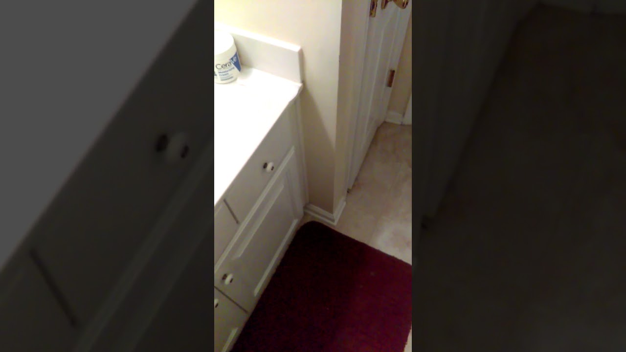 Burp in bathroom YouTube