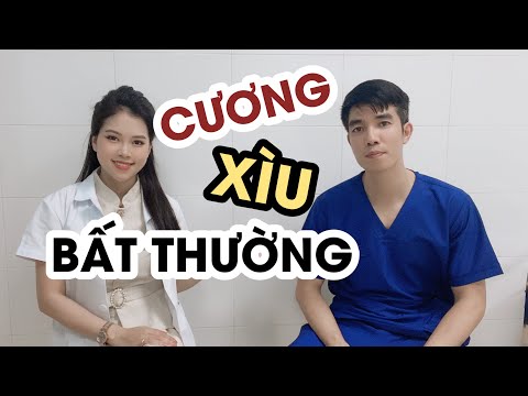 Video: Trái cây Citrus có độc với mèo không?