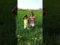 Lele Ahiya Kimiya Goraye Wala 