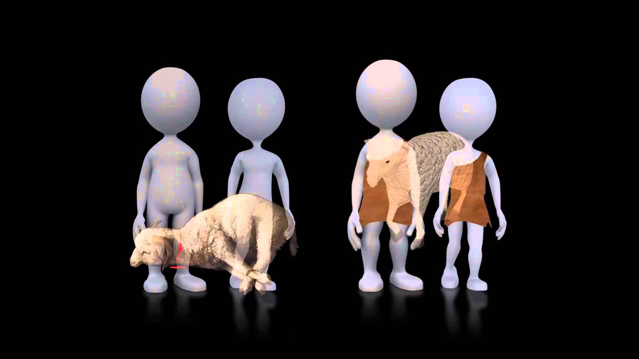 008_3_1 God makes coats of skins (HD) YouTube