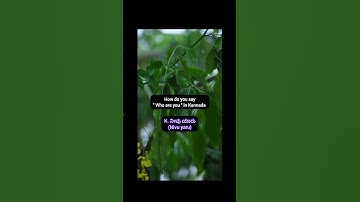 learn Kannada through Telugu & English #learnkannada #kannada #telugu #trending #viral #memes