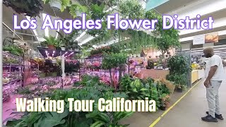 Exploring Los Angeles's Flower District: A Vibrant Walking Tour