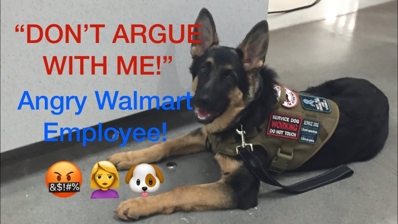 “DON’T ARGUE WITH ME” Service Dog Access issue!