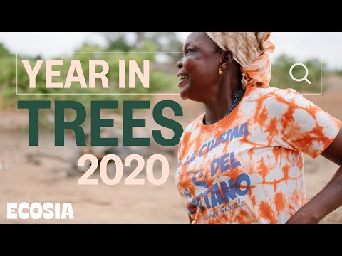 Ecosia — Year in Trees 2020