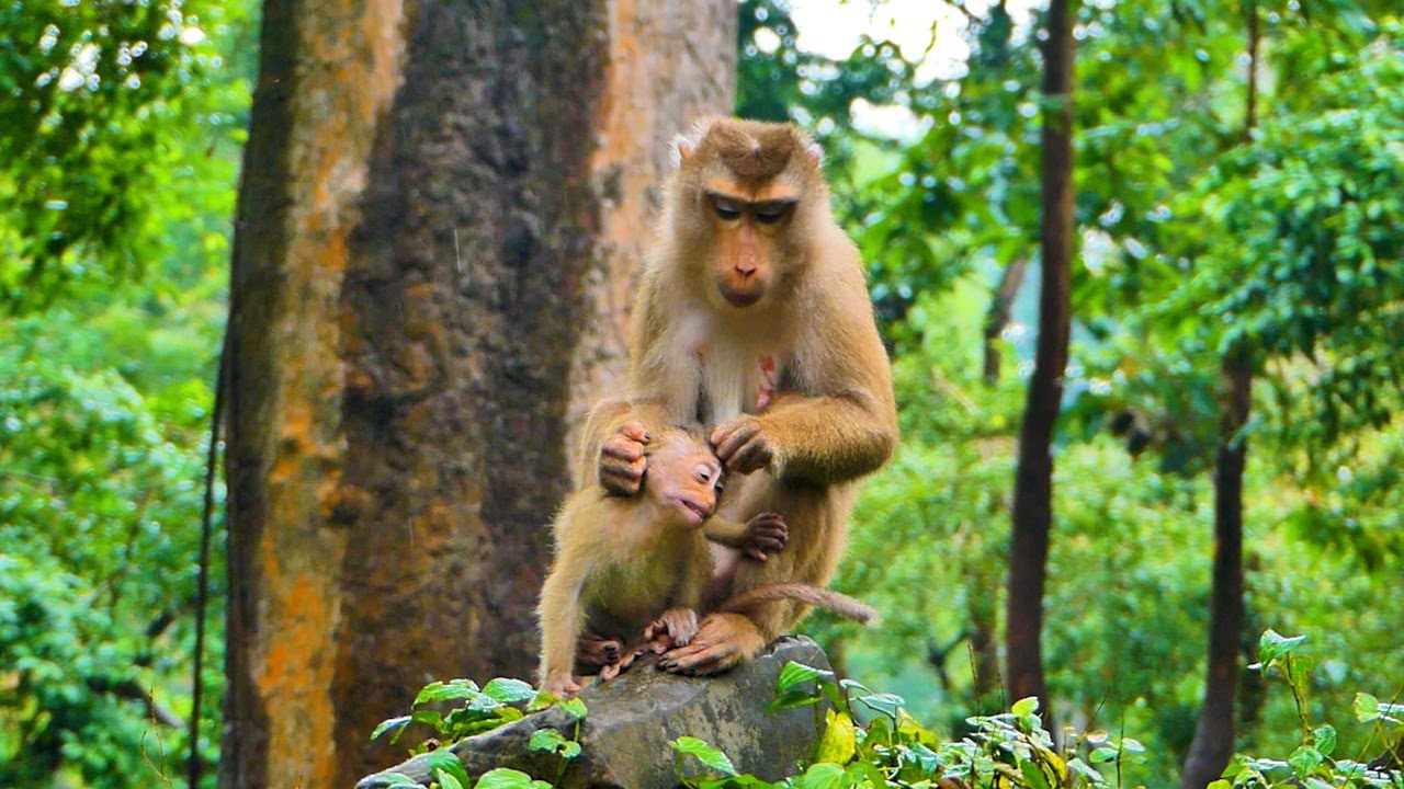 Omg ! Baby Rainbow Throws A Fit Because Her Mother Libby Didn't Give
