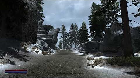 Skyrim Special Edition Tree LOD glitch