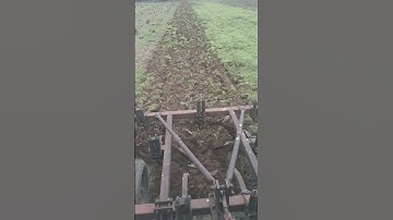 Chisel plowing has started