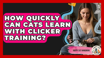 How Quickly Can Cats Learn With Clicker Training? - Happy Cat Handbook