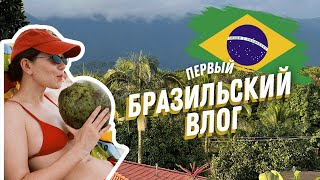 видео: ЖИЗНЬ В БРАЗИЛИИ | выходные на пляже Ривьера, обзор апартаментов airbnb картинка: ЖИЗНЬ В БРАЗИЛИИ | выходные на пляже Ривьера, обзор апартаментов airbnb