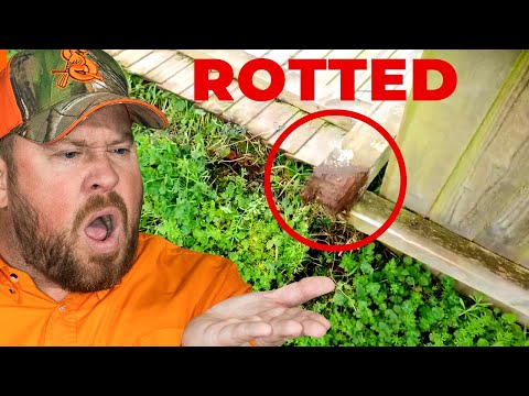 How Long Will This Wooden Fence Repair Last? - Fence Expert Reacts