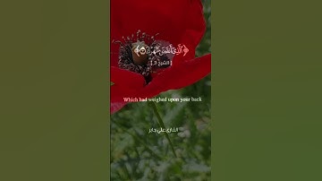 #سورة الشرح #الشرح #علي جابر (الم نشرح لك صدرك ووضعنا عنك وزرك الذي انقض ظهرك ورفعنا؟لك ذكرك)