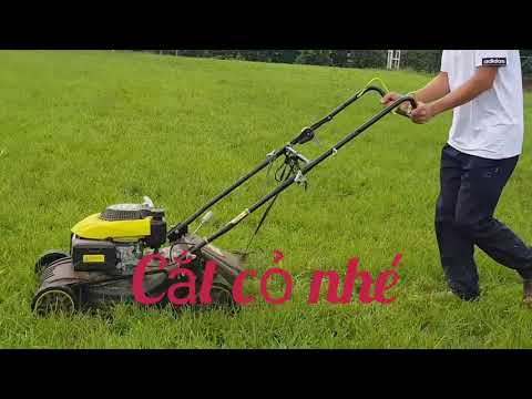 Video Bạn có muốn xây dựng 1 sân bóng đá với cỏ tự nhiên với... - youtube