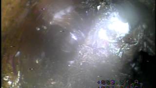 20150522 1231
