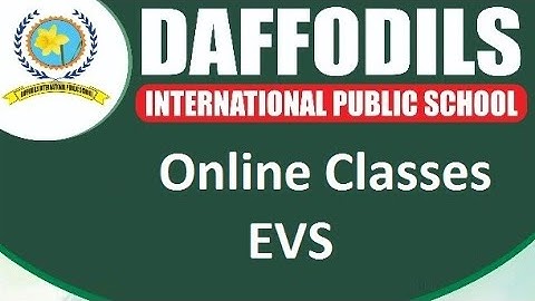 EVS || Class 4 ||Chapter 2|| OUR EXTENDED FAMILY