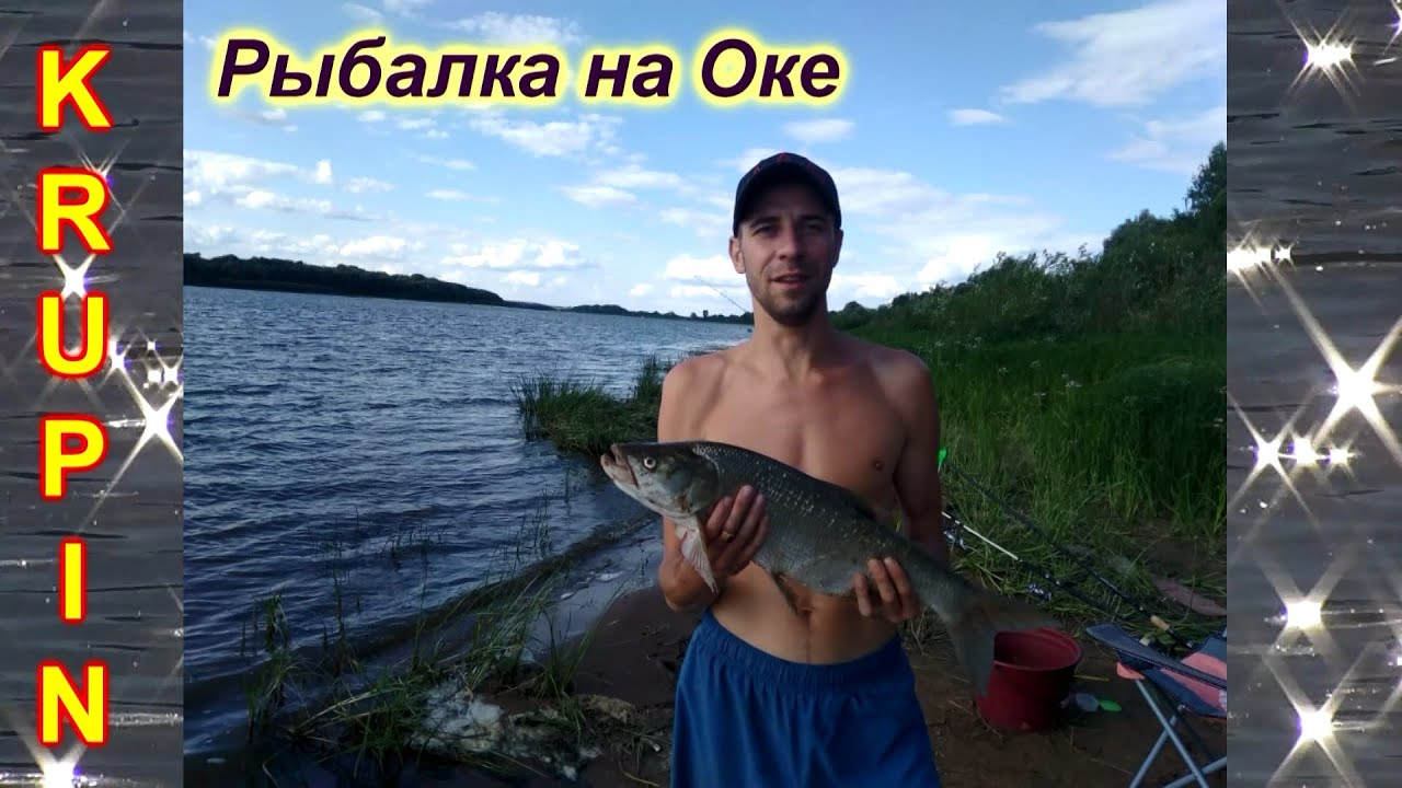Жерех на оке