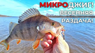 ОКУНЬ И ЩУКА НА КАЖДОМ ЗАБРОСЕ! / МИКРОДЖИГ - ВЕСНОЙ РЕШАЕТ. by Salmo Россия 3,184 views 12 days ago 23 minutes