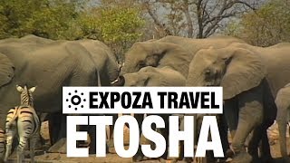 Etosha (Namibia) Vacation Travel Video Guide