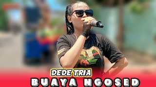 BUAYA NGOSED VOC DEDE TRIA ( BOS TOBRUT) - ANDI PUTRA 3 | EDISI UNJUNGAN BUYUT SAMPU JUMBLENG