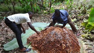 КАК ДЕЛАЮТ ШОКОЛАД\ Производство шоколада Luker в Колумбии