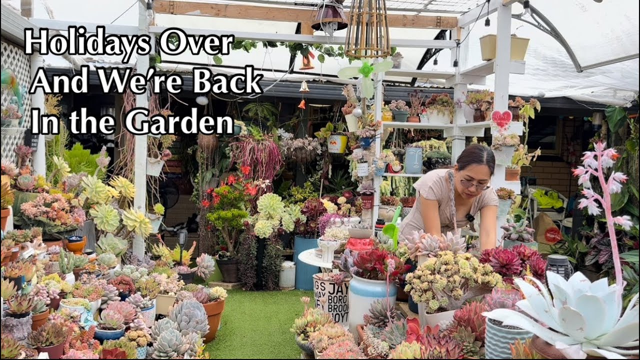 We’re Back In The Succulent Garden