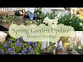 Lets take a peaceful garden tour to admire the blooms  growing vegetables  spring garden update