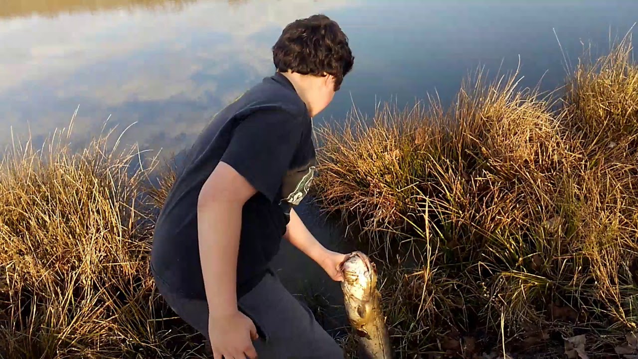 Catfishing at pond YouTube