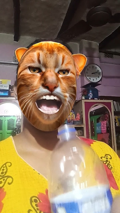 kucing pingin susu #fypシ #shortvideo #shorts #555