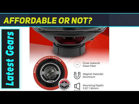 DS18 ZXI-694 The Loudest 6x9s You Can Buy Right Now? - YouTube