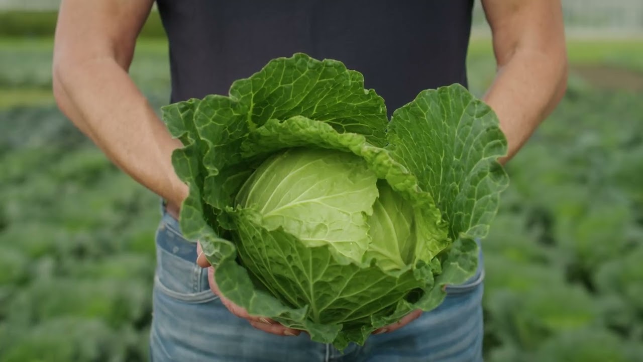 Takii at Seed Meets Technology | 2023