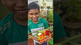 Happiness of the little harvest ?? மாடித்தோட்ட அறுவடை மகிழ்ச்சி ? tamilshorts terracegarden