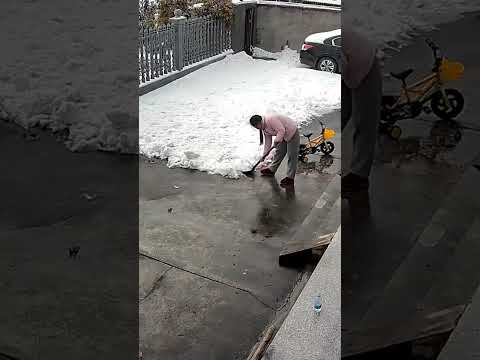Snow Fa(i)ll