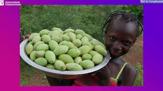 OKERE CITY: NOT SO COMPLICATED SHOW: EPISODE 30: An African Utopia powered by SHEA butter