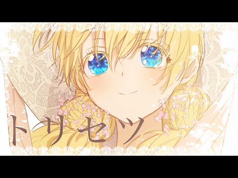 【MAD/AMV】Who made me a Princess【Torisetsu(トリセツ)】