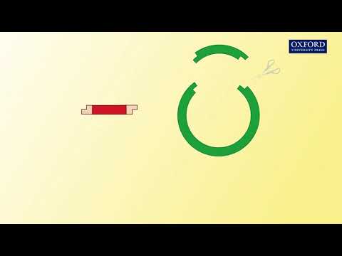 Animation 27.1 Basic principle of recombinant DNA technology