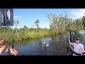 Florida fishing in unbeleivable backyard creek catch clean and cook