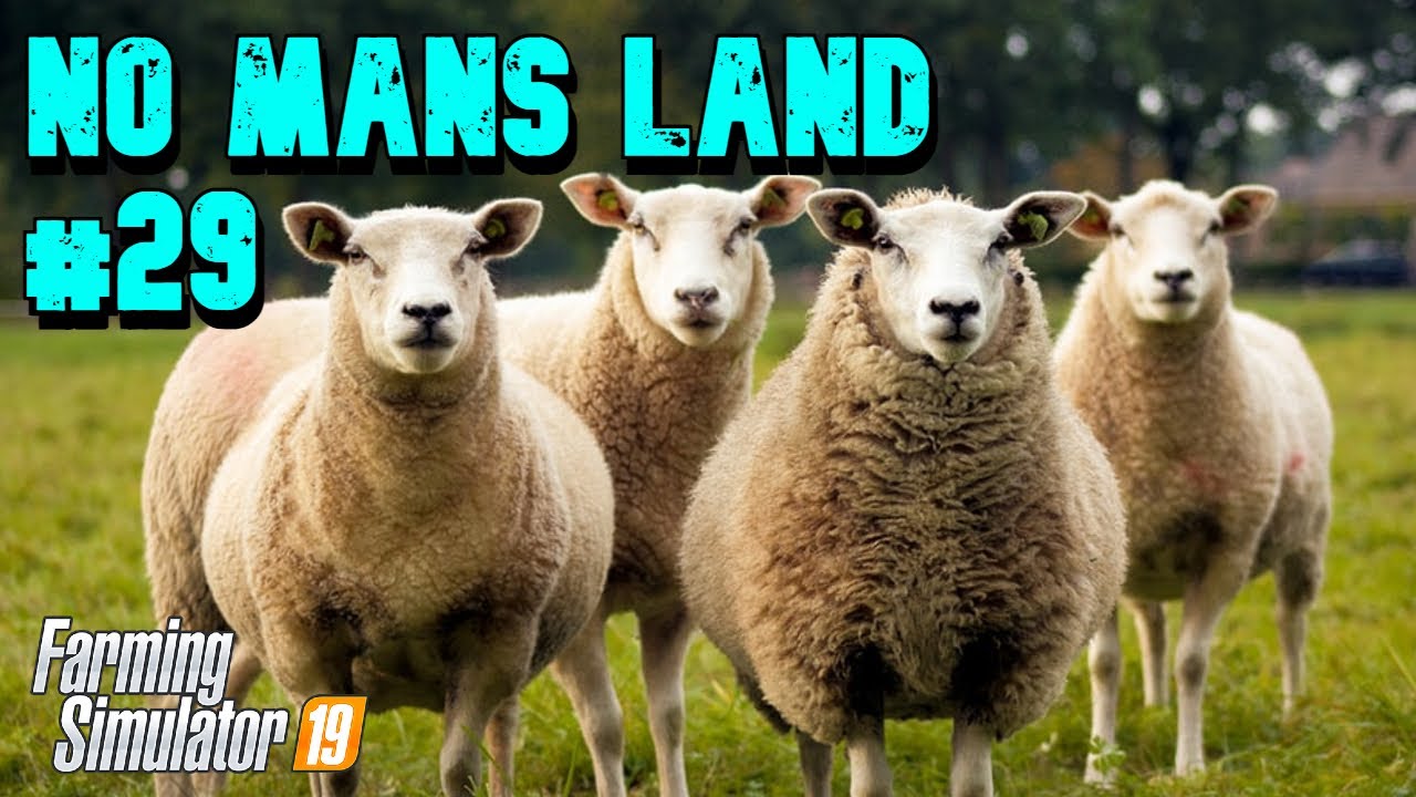 Buy Sheep / Spread Lime / Sow Wheat - #29 - No Mans Land - FS19 - PS4 - Timelapse