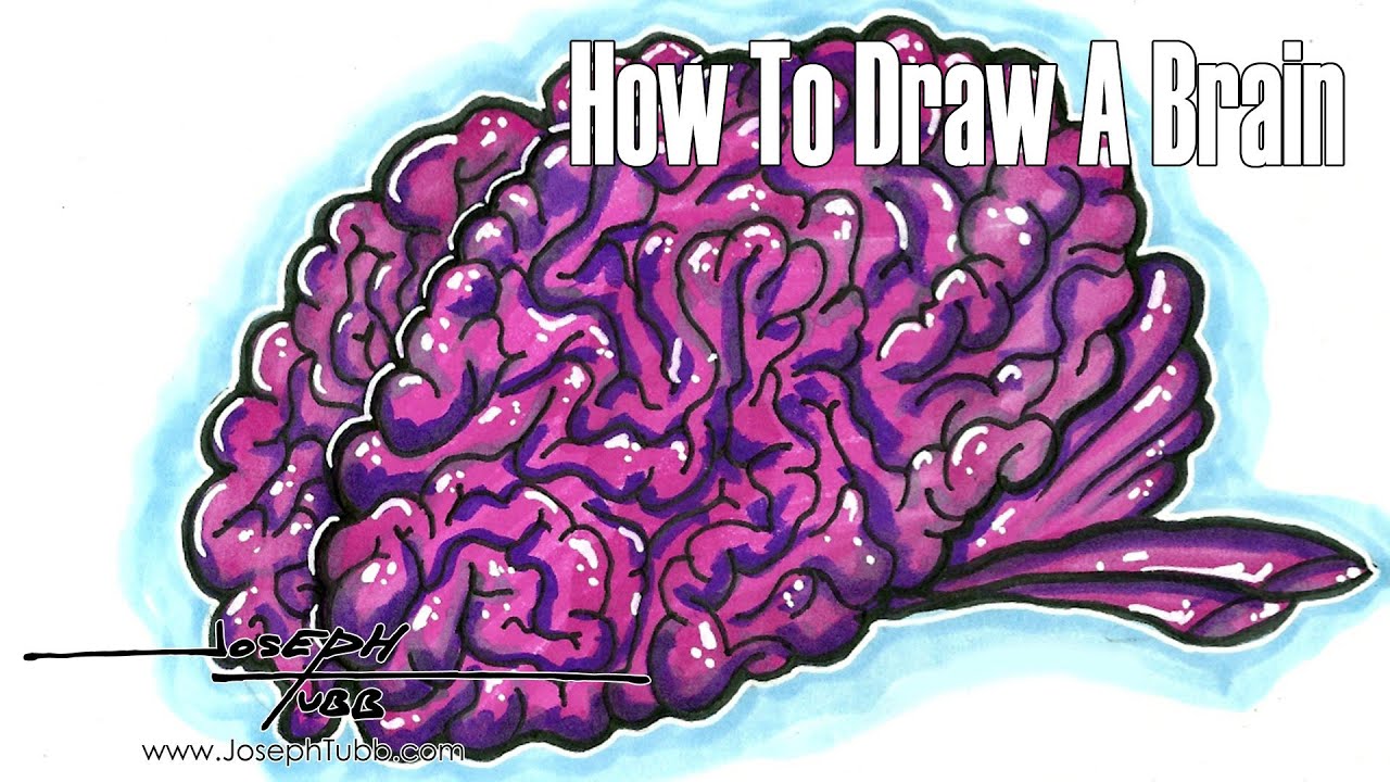 How To Draw A Brain - YouTube