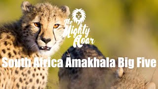 South Africa Amakhala Big Five Conservation