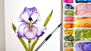 YOU WONT BELIEVE... you painted this Beautiful watercolor IRIS !  And drew it yourself.
