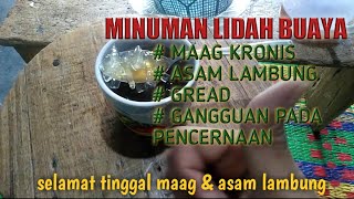 CARA MEMBERSIHKAN LIDAH BUAYA UNTUK DIMAKAN.