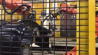 IMG 6949