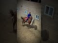 Luna was a little special yesterday lol! #horse #equestrianjourney #fypviral