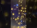 イルミネーション ライト 屋外 丸型LED 360度 クリスマス ストレート 100球 10m 最大1000球 屋外 コンセント 防雨 防水 連結可 ツリー 飾り付け 高輝度装飾